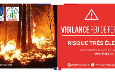 Passage en vigilance ROUGE pour le risque feux de forêt