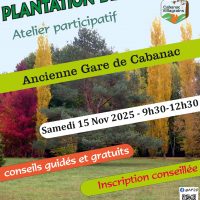 Plantation de végétaux