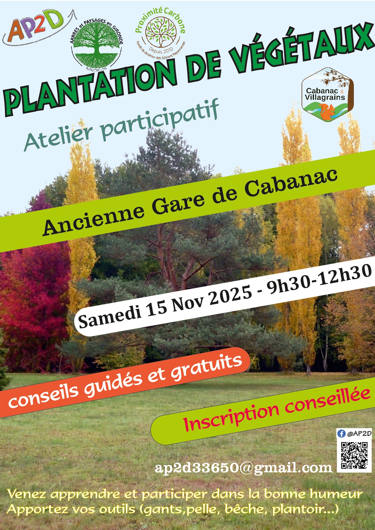 Plantation de végétaux
