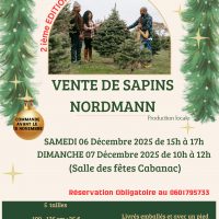 Vente de sapins de Noël