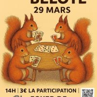 Tournoi de belote