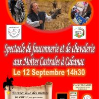 Spectacle Chevalerie et Rapaces