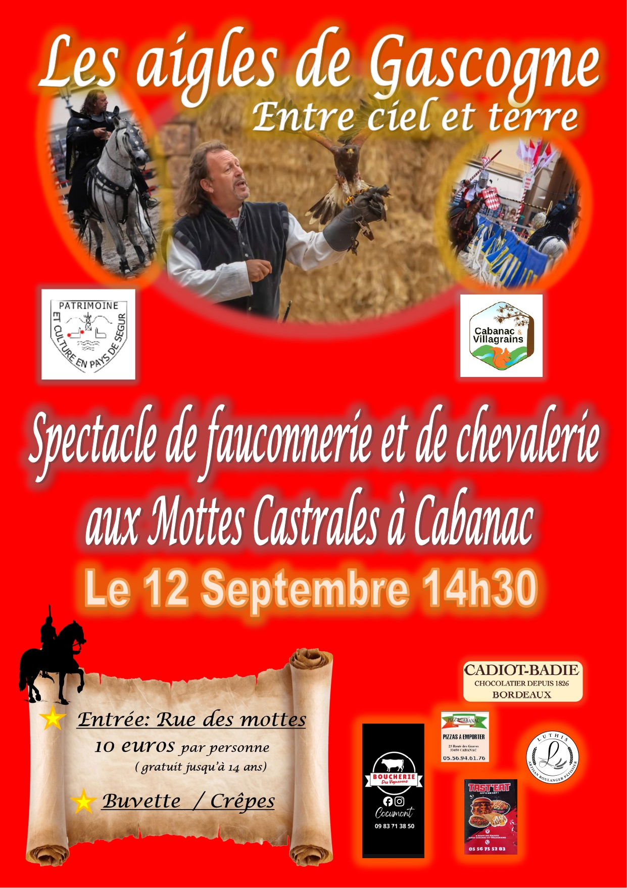 Spectacle Chevalerie et Rapaces