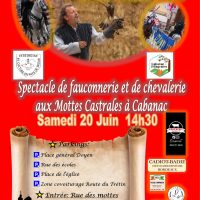 Spectacle Chevalerie et Rapaces