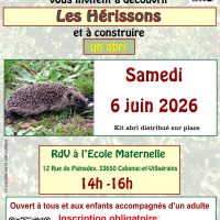 Découvrir les hérissons et construire un abri
