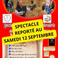 Spectacle Chevalerie et Rapaces
