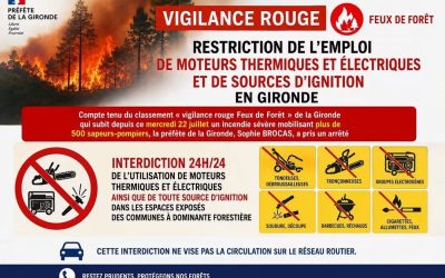 Vigilance Rouge feux de forêt – Risque très élevé