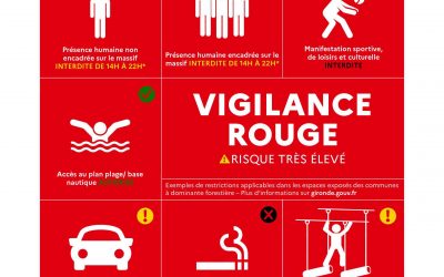 Vigilance Rouge feux de forêt – Risque très élevé