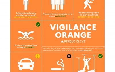 Vigilance orange feux de forêt
