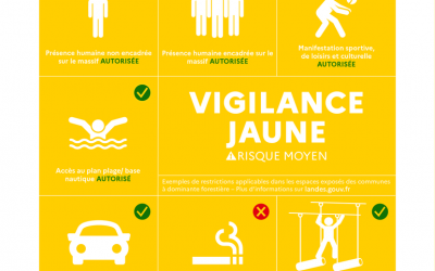 Vigilance JAUNE feux de forêt